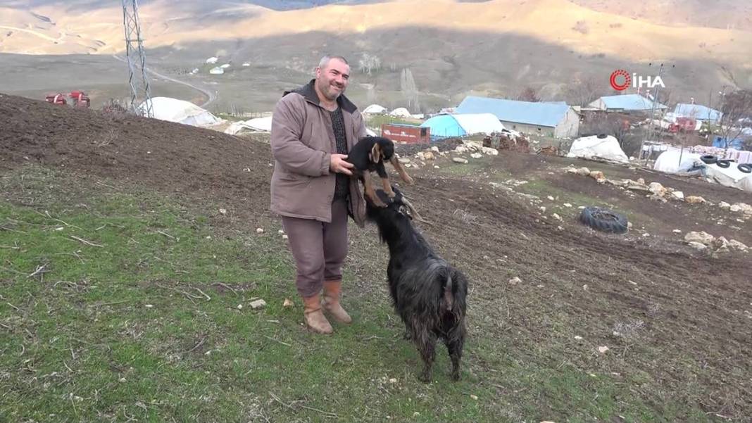 Görenler gözlerine inanamıyor: Tam 3 adet...! Görmek için civar köylerden geliyorlar 20